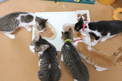 最後の晩餐じゃなくて朝食