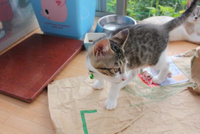 おわかれだぜもっちぃ、もう帰ってくんなよ・・・