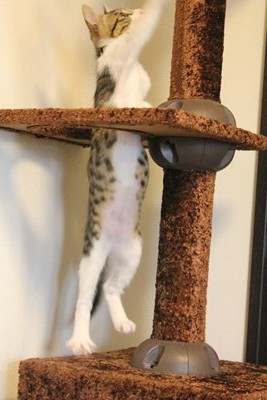 とうっ!!!