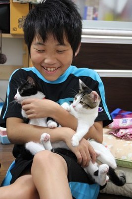 ちょっぴんとセシル
