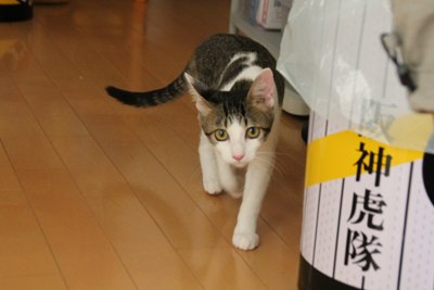 うろうろ・・・