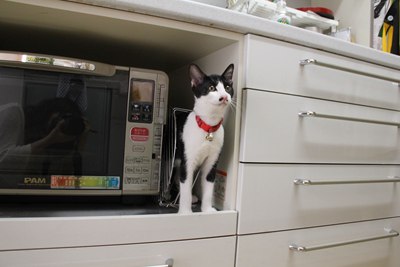 いい場所見つけた