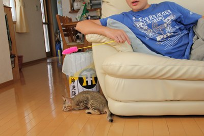 さりげなく遊んでいるふたり