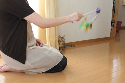 じゃらされてます