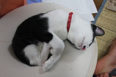 ちょっぴん・・・