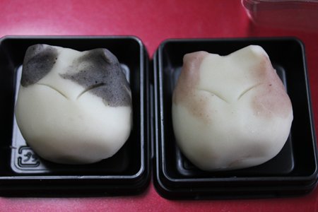 猫上生菓子