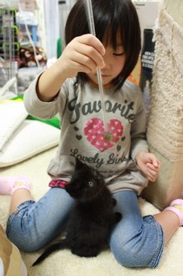 ぴーちゃんとたまこ