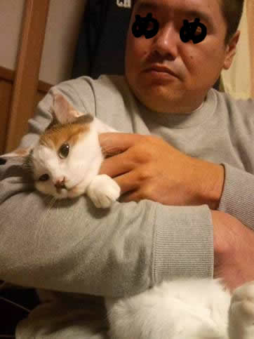 ミィちゃんち