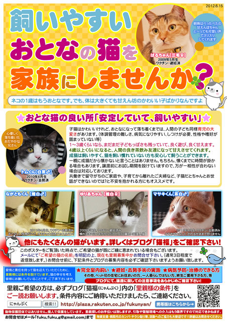 おとな猫里親募集ポスター 石川富山福井
