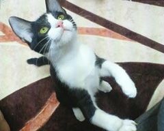 2012101623460002s.jpg