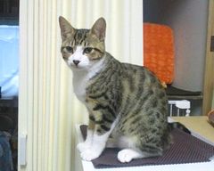 2012101816220001s.jpg