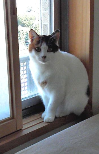 20121019rinco.jpg