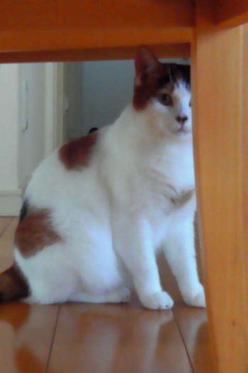 20121101.jpg