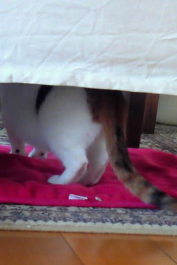 20121111.jpg