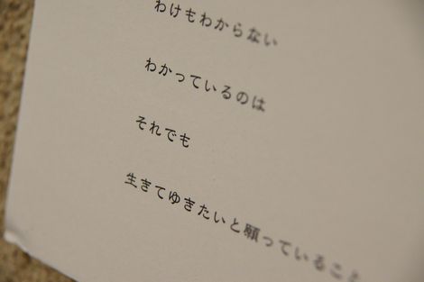 DSC05229t.jpg