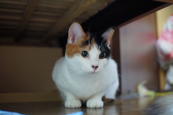 DSC05284t.jpg