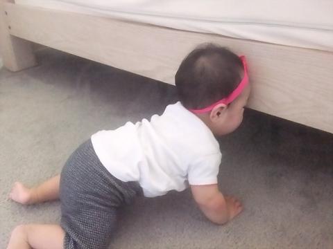 ゴン!!