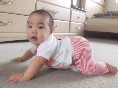見てる?