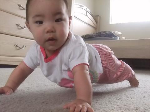 腕立て伏せ???