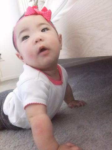 ここにオモチャが入ってった。。