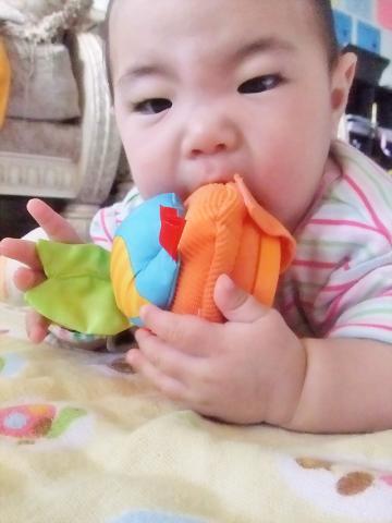 がぶがぶがぶがぶ!!