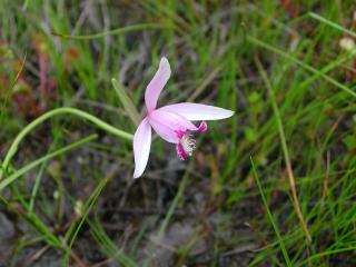 DSCN3553.jpg