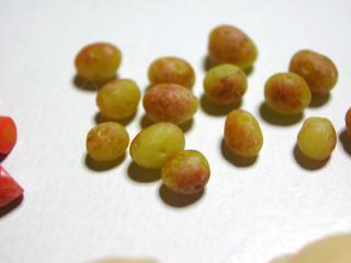 芋