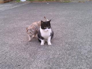 IMAG0023.jpg