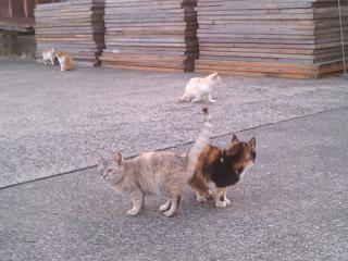 IMAG0024.jpg
