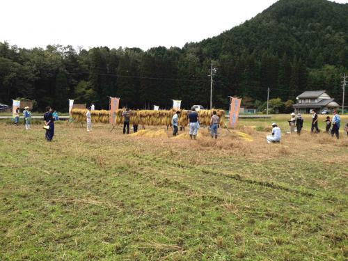 s17.jpg