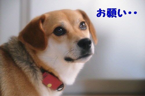 2_20120801232259.jpg