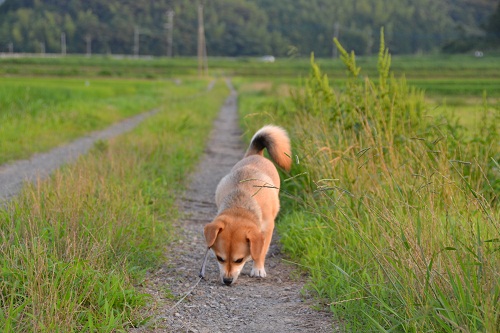 3_20120720222706.jpg