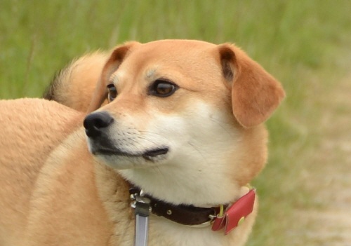 4_20120720222706.jpg
