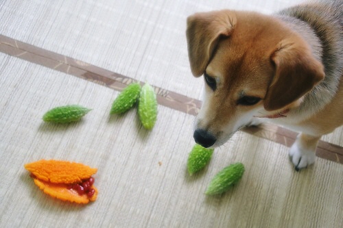 6_20120806231241.jpg