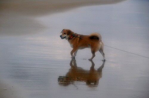 6_20121023232758.jpg
