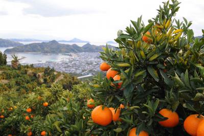 島の風景