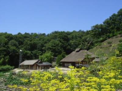 ダッシュ村