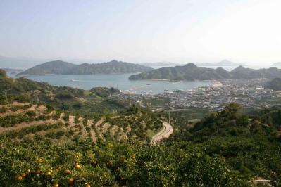 大浦湾遠景3