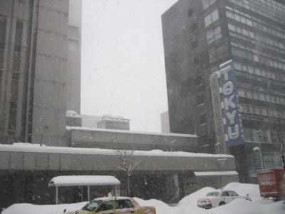 札幌東急催事4
