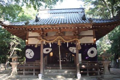 祭り9