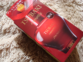 DSC05133_20121011100027.png