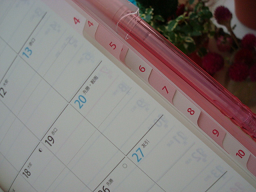 DSC05291.png