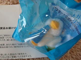 DSC05971_20121119122529.png
