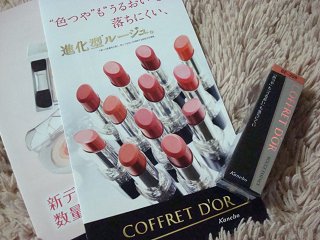 DSC05992_20121119122744.png