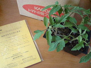 DSC06718.png