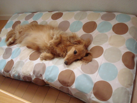 DSC07531.png