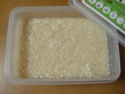 DSC08907.png