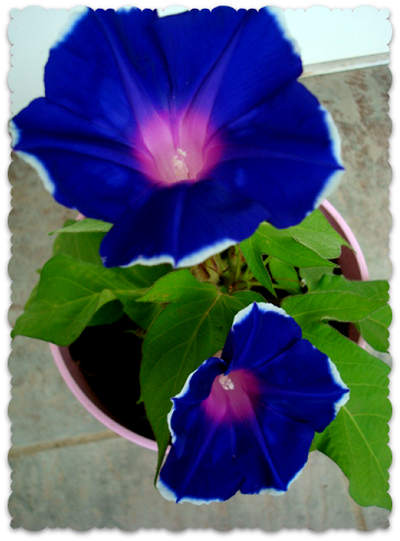 DSC08926.png
