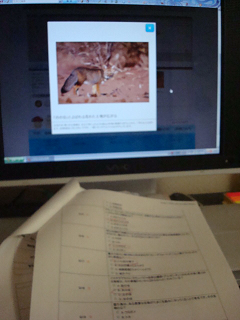 DSC09646.png