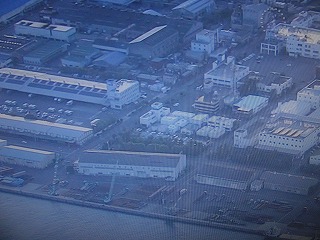 イノシシ海岸に出没